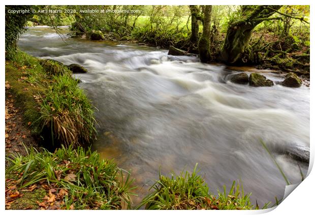 Golitha Falls Cornwall Print by Avril Harris