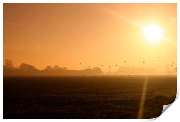  misty morning rays Print by carin severn