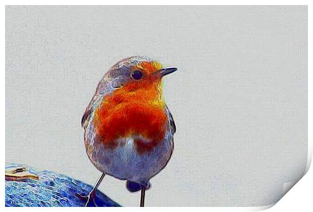 Robin Redbreast   Print by carin severn