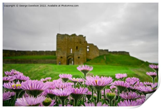 Flowers at the Castle Print by George Davidson