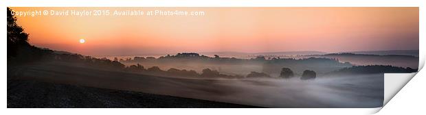  Mist Dawn at Newlands Corner Print by David Haylor